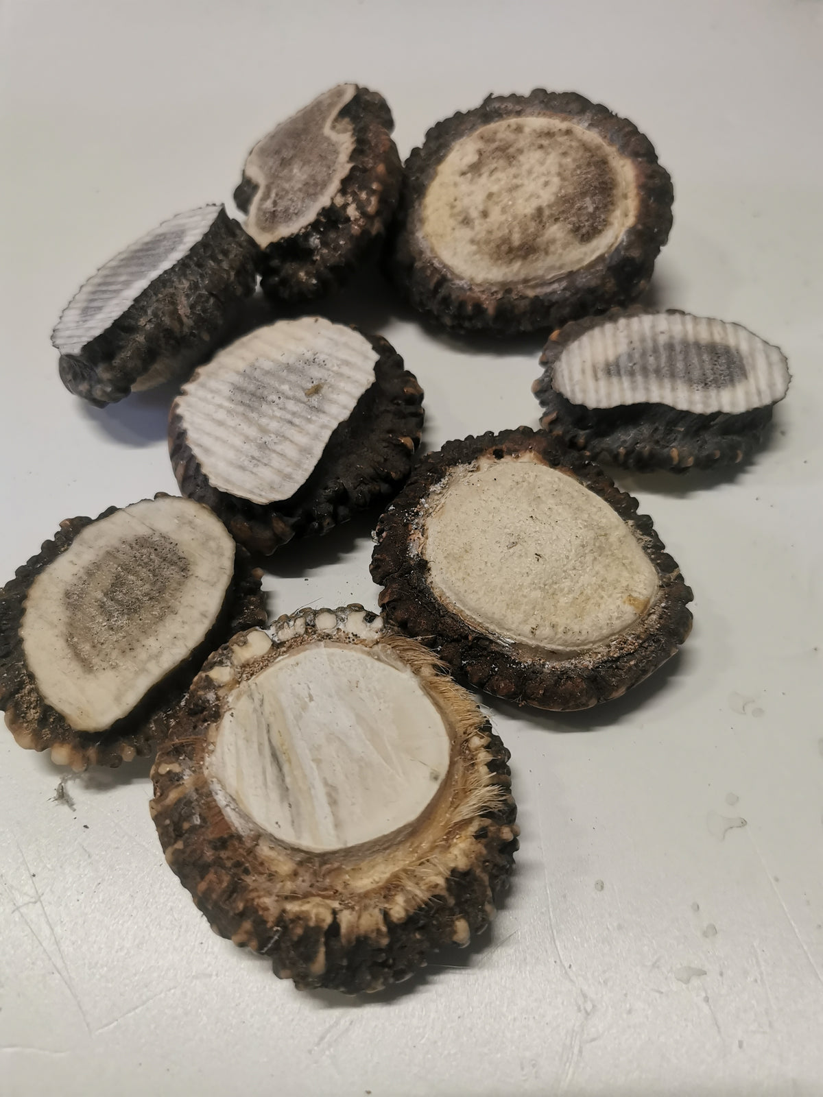 Antler roses, antler rosettes, bussn, crowns, handmade, natural beauty, unique, wall decoration, accessory, ethically sourced antler.