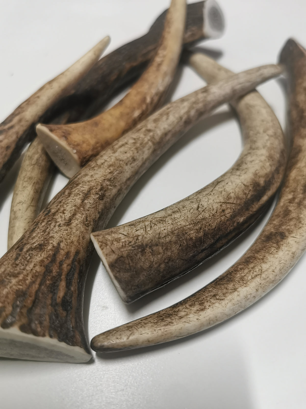 Rothirschgeweih Kauknochen für Hunde - Natürlicher Snack, Zahnpflege & Kalzium