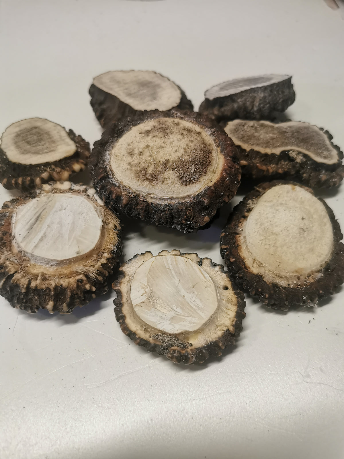 Antler roses, antler rosettes, bussn, crowns, handmade, natural beauty, unique, wall decoration, accessory, ethically sourced antler.