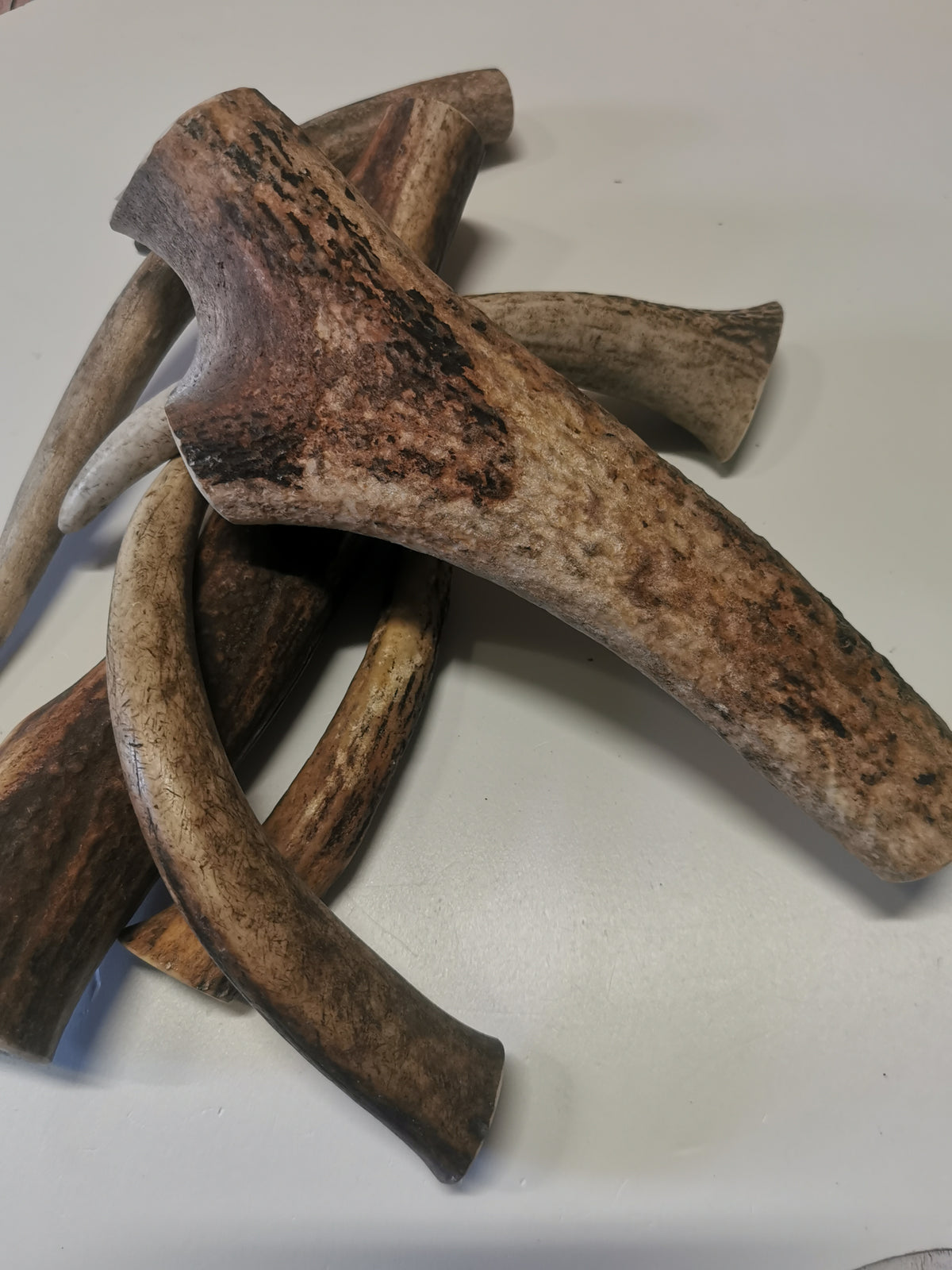 Rothirschgeweih Kauknochen für Hunde - Natürlicher Snack, Zahnpflege & Kalzium
