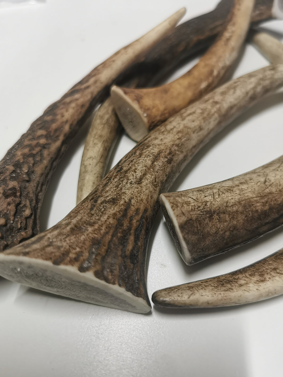 Rothirschgeweih Kauknochen für Hunde - Natürlicher Snack, Zahnpflege & Kalzium