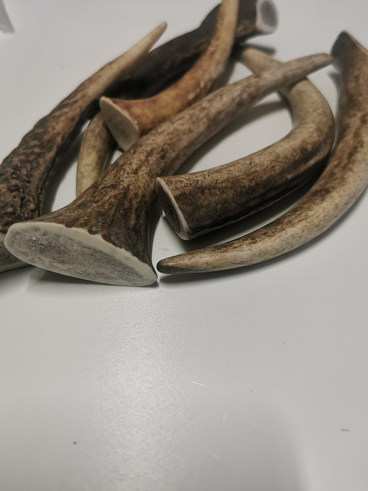 Rothirschgeweih Kauknochen für Hunde - Natürlicher Snack, Zahnpflege & Kalzium