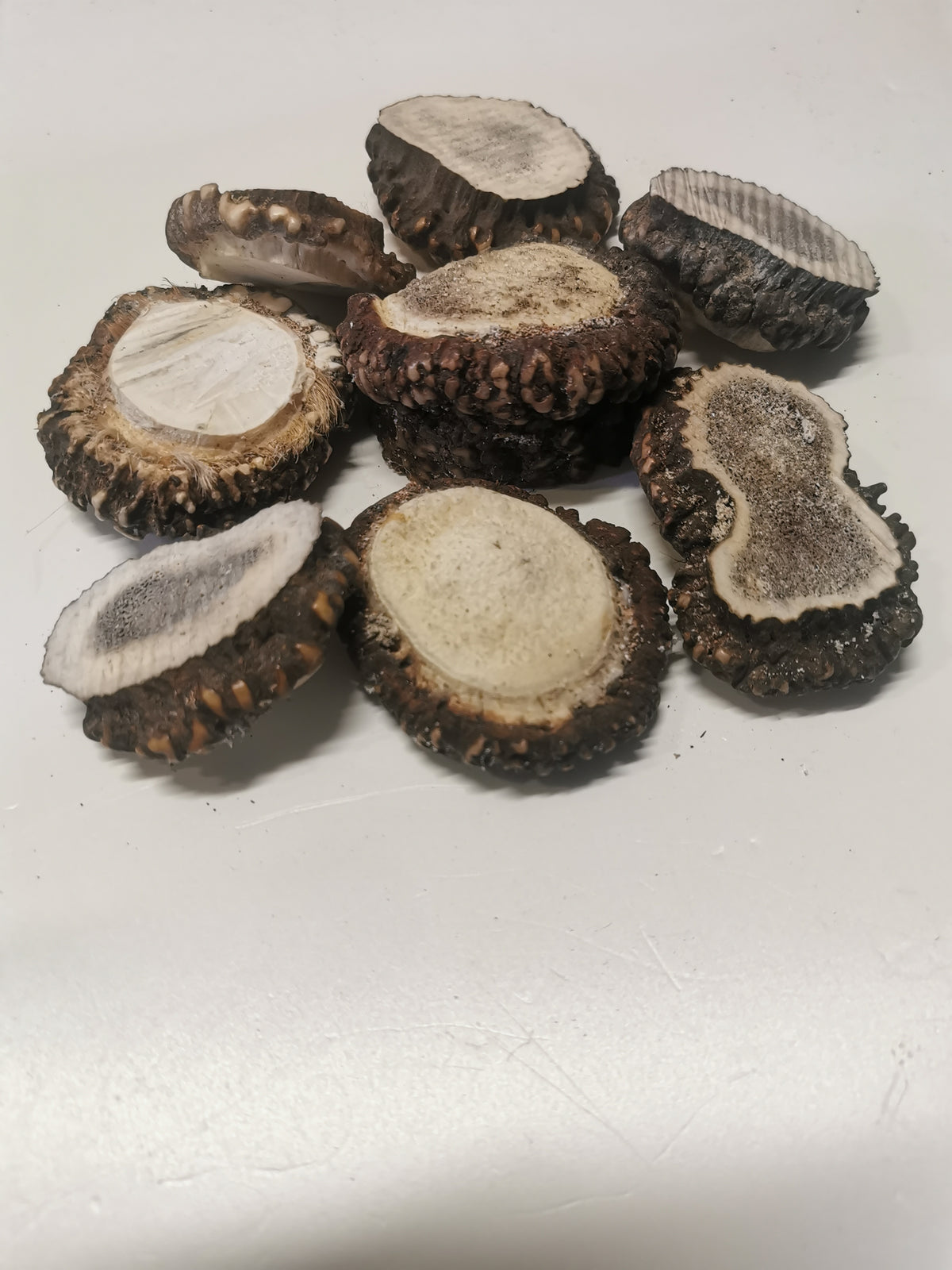 Antler roses, antler rosettes, bussn, crowns, handmade, natural beauty, unique, wall decoration, accessory, ethically sourced antler.