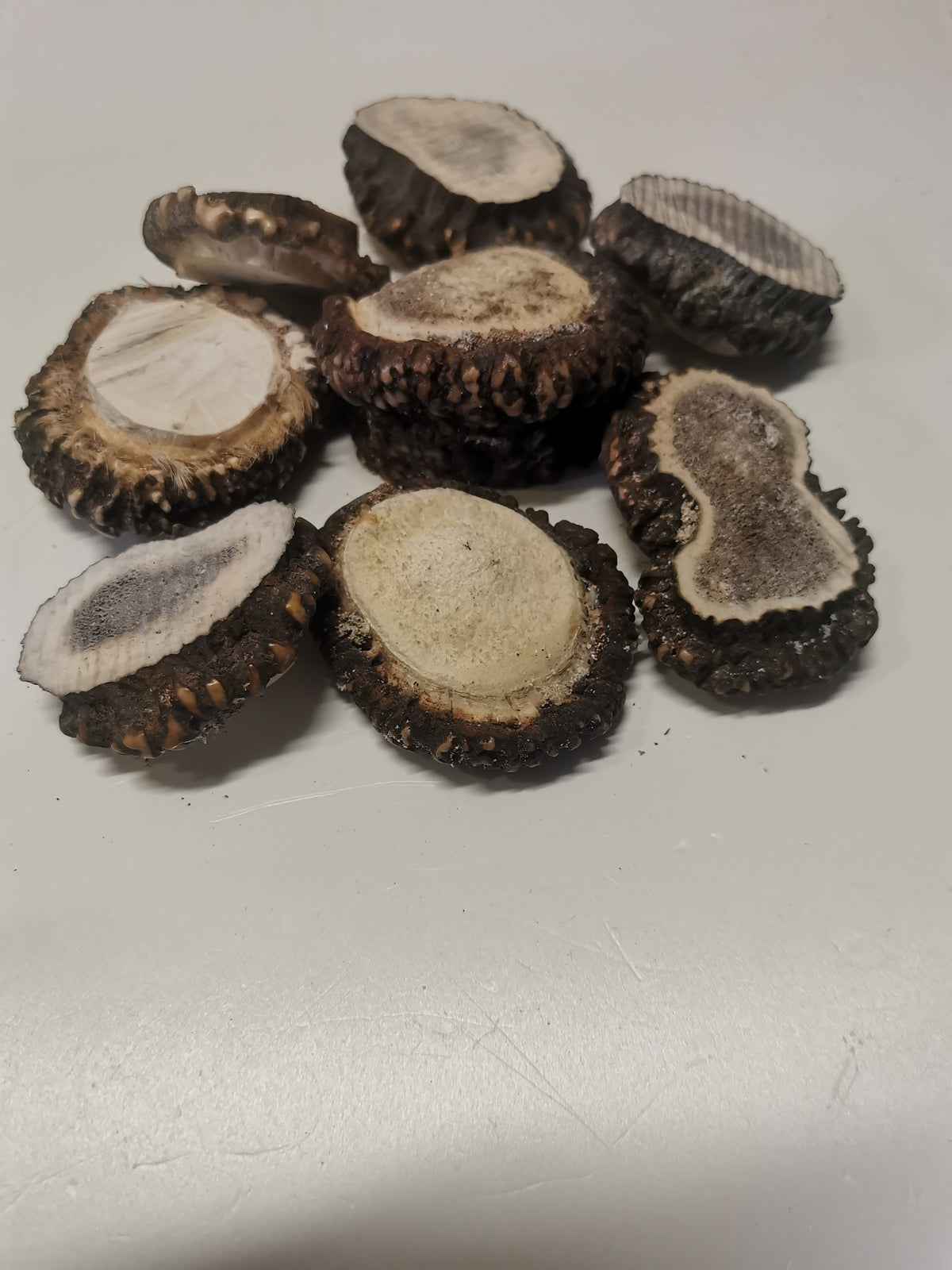 Antler roses, antler rosettes, bussn, crowns, handmade, natural beauty, unique, wall decoration, accessory, ethically sourced antler.