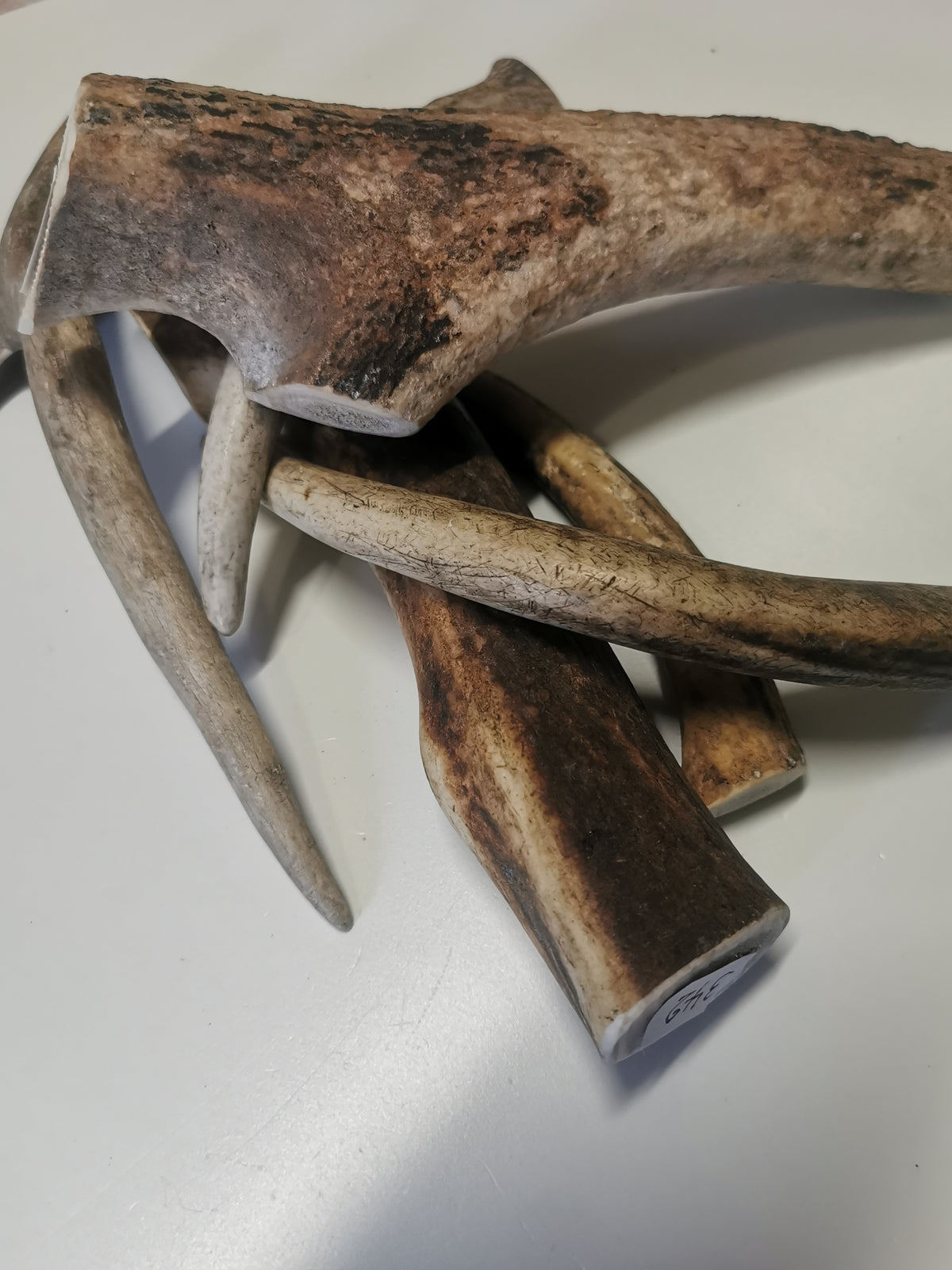 Rothirschgeweih Kauknochen für Hunde - Natürlicher Snack, Zahnpflege & Kalzium