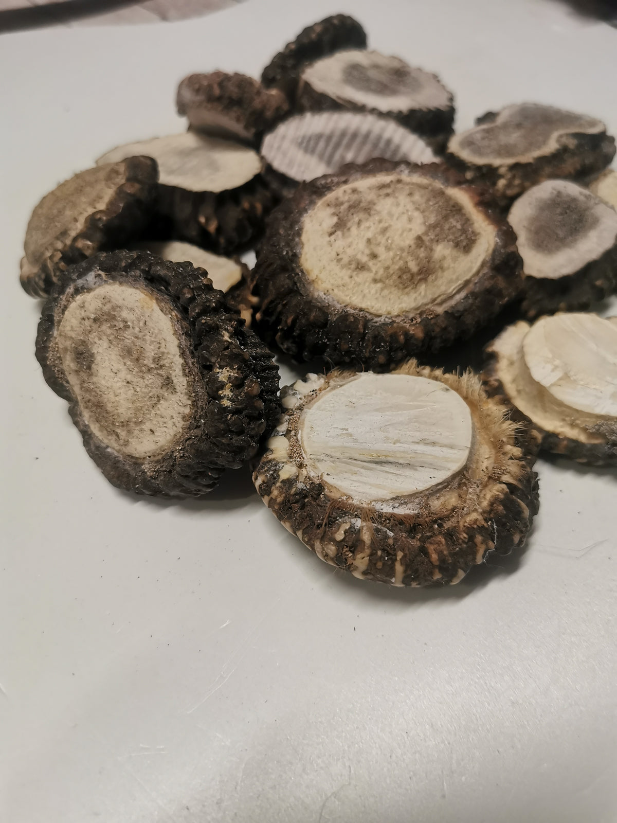 Antler roses, antler rosettes, bussn, crowns, handmade, natural beauty, unique, wall decoration, accessory, ethically sourced antler.
