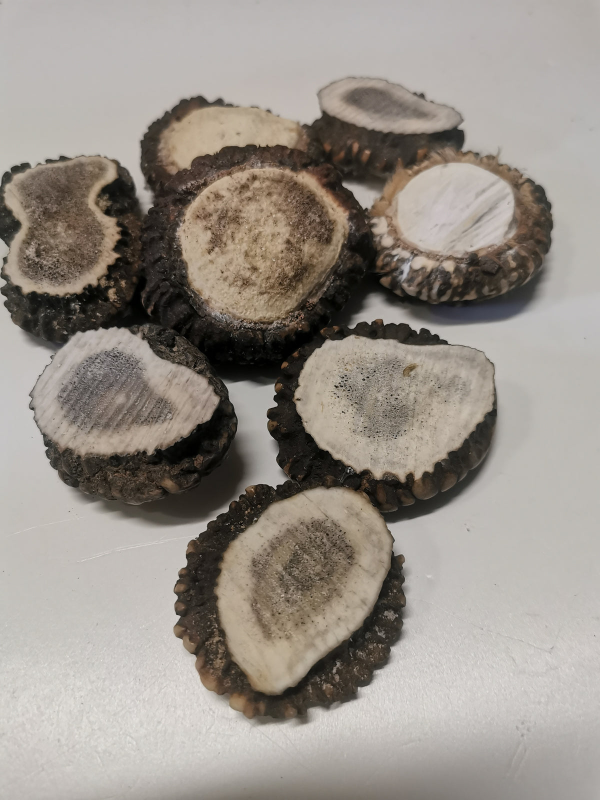 Antler roses, antler rosettes, bussn, crowns, handmade, natural beauty, unique, wall decoration, accessory, ethically sourced antler.
