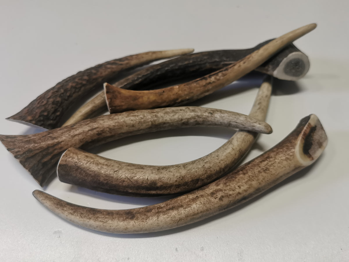 Rothirschgeweih Kauknochen für Hunde - Natürlicher Snack, Zahnpflege & Kalzium