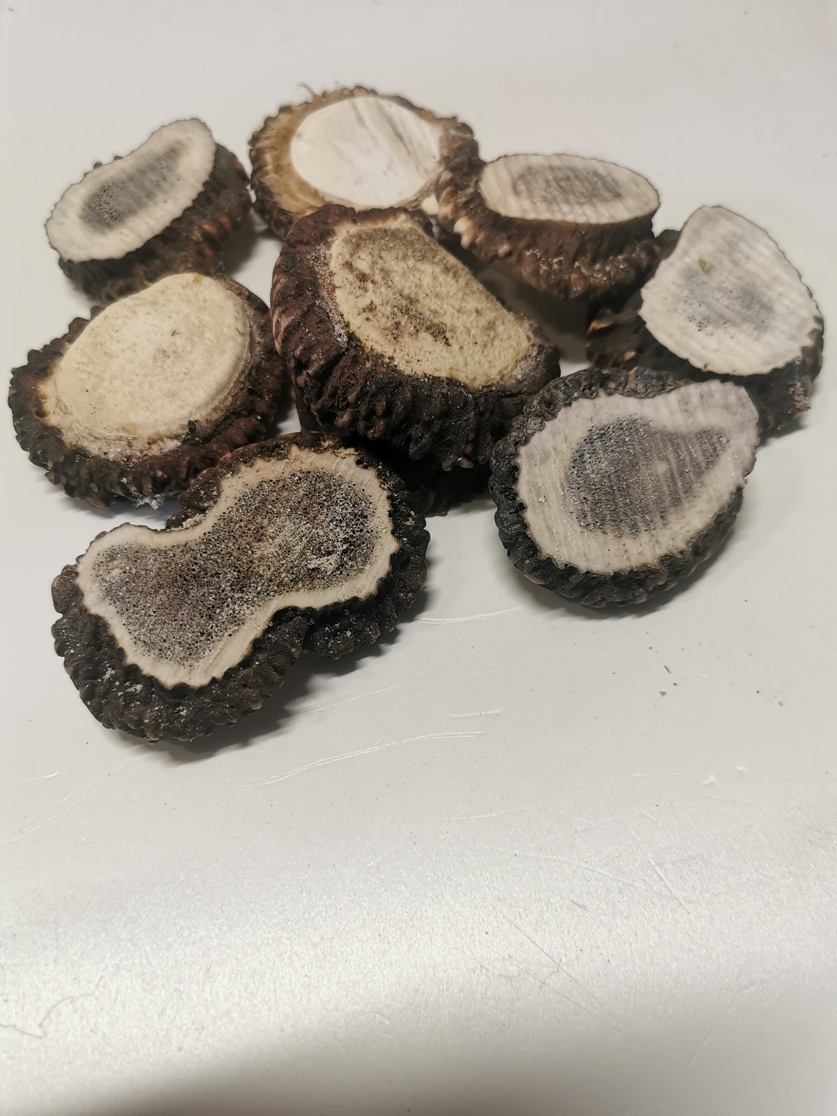 Antler roses, antler rosettes, bussn, crowns, handmade, natural beauty, unique, wall decoration, accessory, ethically sourced antler.