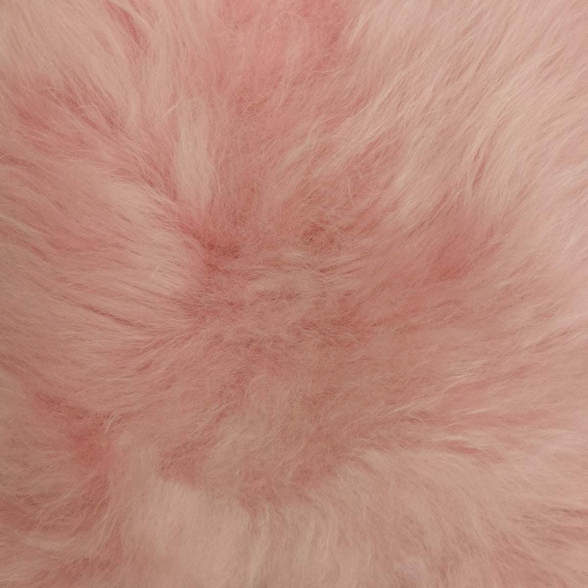 BUNTE Schaffell | Rosa | Echtes Lammfell |Teppich Deko | 120cm | Sitzauflage